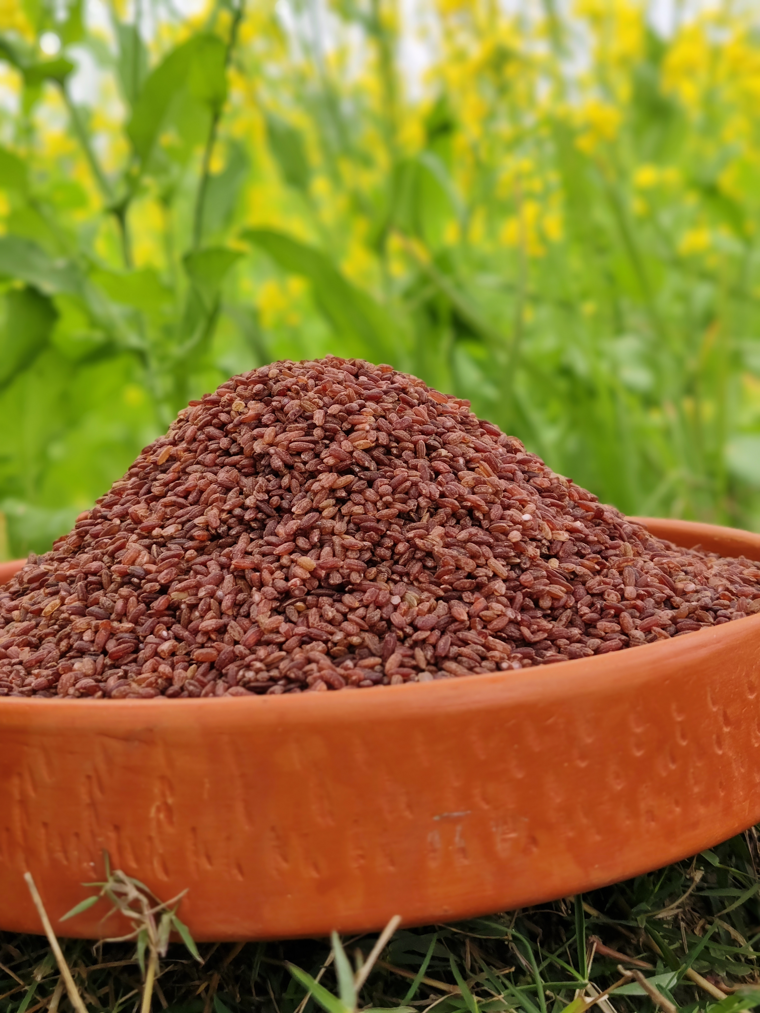 ঢেকি ছাটা লাল চাউল